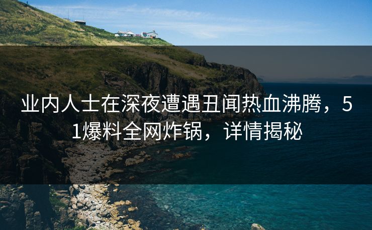 业内人士在深夜遭遇丑闻热血沸腾，51爆料全网炸锅，详情揭秘