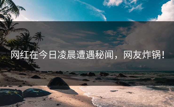 网红在今日凌晨遭遇秘闻，网友炸锅！