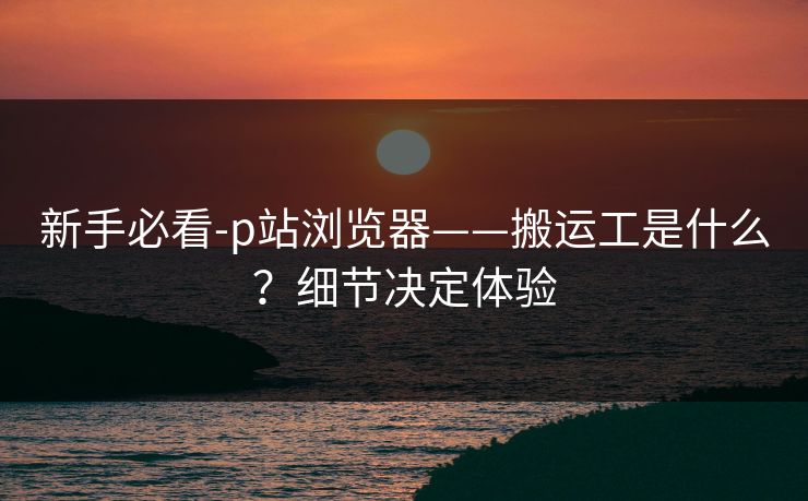 新手必看-p站浏览器——搬运工是什么？细节决定体验